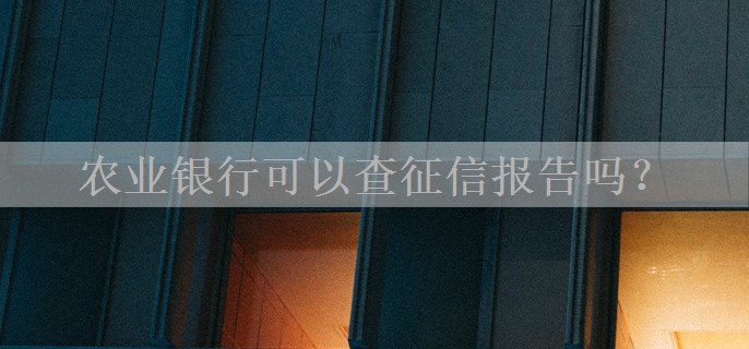 农业银行可以查征信报告吗？