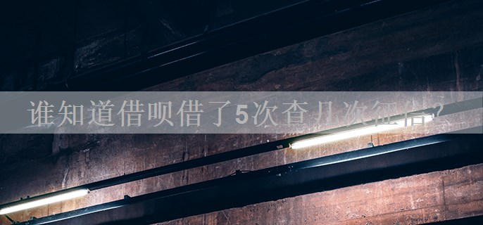谁知道借呗借了5次查几次征信？