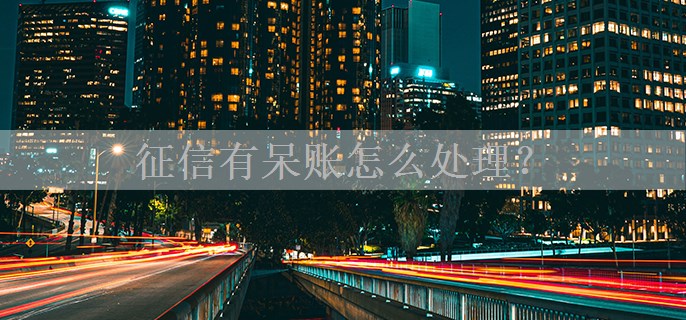 征信有呆账怎么处理？