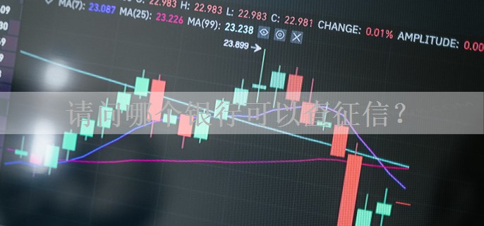 请问哪个银行可以查征信？