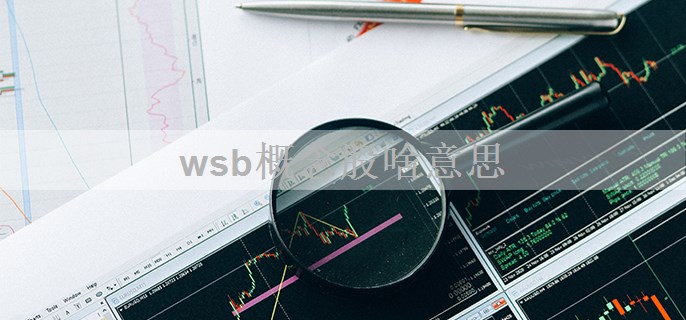 wsb概念股啥意思