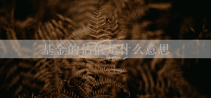 基金的估值是什么意思