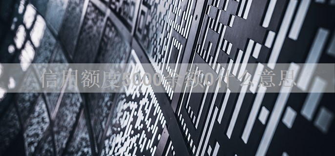 信用额度5000余额0什么意思