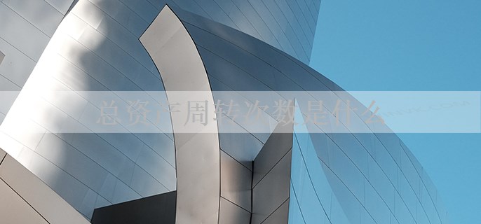 总资产周转次数是什么
