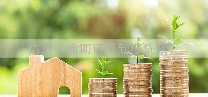 信用卡逾期可以到哪贷款？