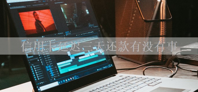 信用卡延迟三天还款有没有事