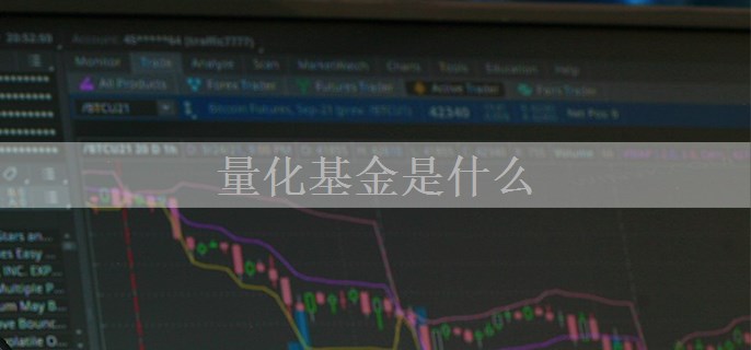 量化基金是什么
