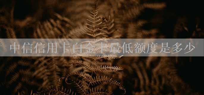 中信信用卡白金卡最低额度是多少
