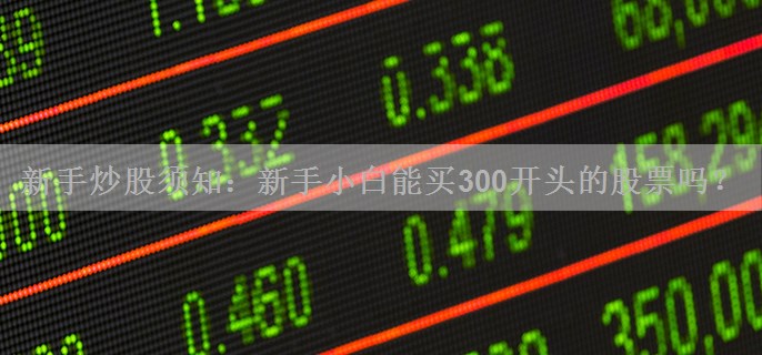新手炒股须知：新手小白能买300开头的股票吗？