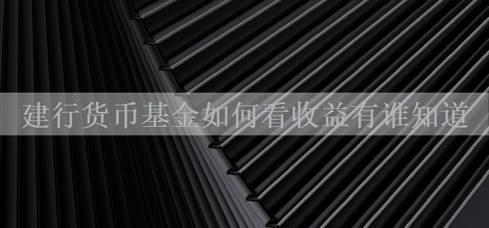 建行货币基金如何看收益?有谁知道