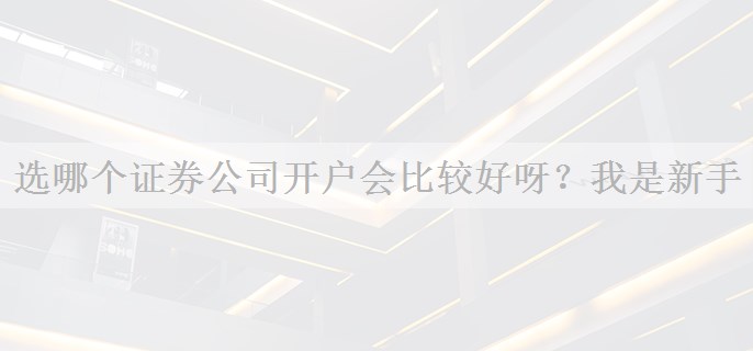 选哪个证券公司开户会比较好呀？我是新手
