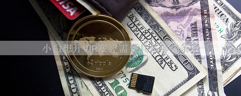 小白想开VIP账户需要具备哪些条件