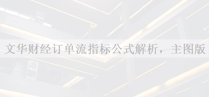 文华财经订单流指标公式解析，主图版