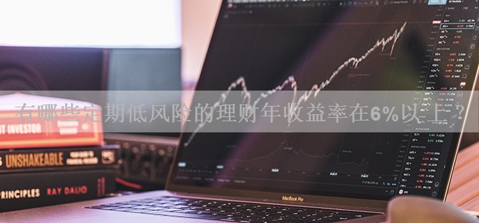 有哪些定期低风险的理财年收益率在6%以上？