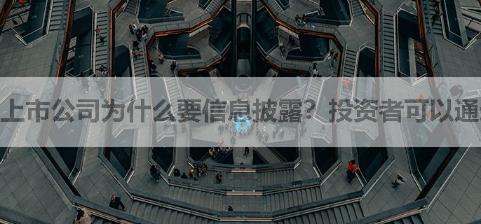 上市公司为什么要信息披露？投资者可以通过这个来了解公司处分情况吗？