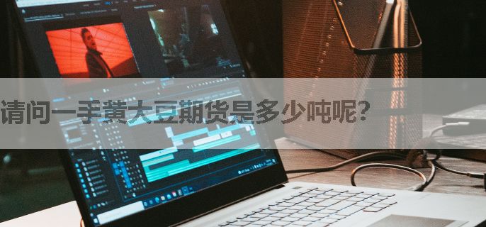 请问一手黄大豆期货是多少吨呢？
