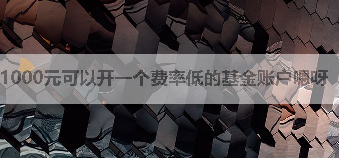 1000元可以开一个费率低的基金账户嗯呀