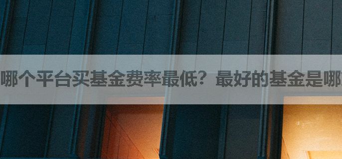 哪个平台买基金费率最低？最好的基金是哪支？
