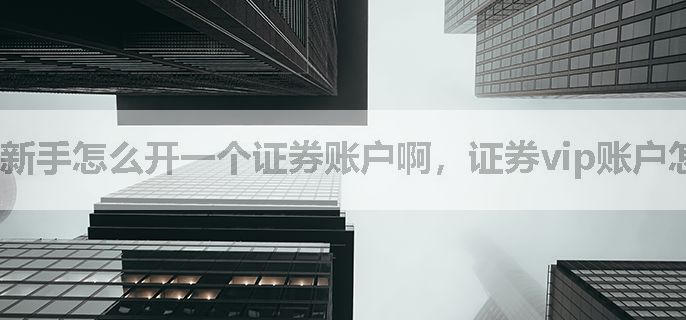 新手怎么开一个证券账户啊，证券vip账户怎么弄呀