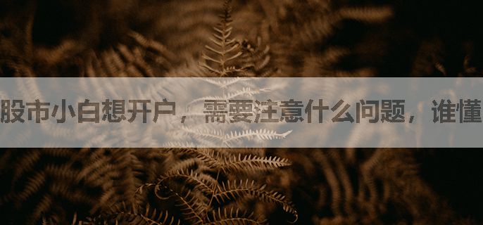 股市小白想开户，需要注意什么问题，谁懂，回答一下