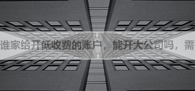 谁家给开低收费的账户，能开大公司吗，需要下载什么软件