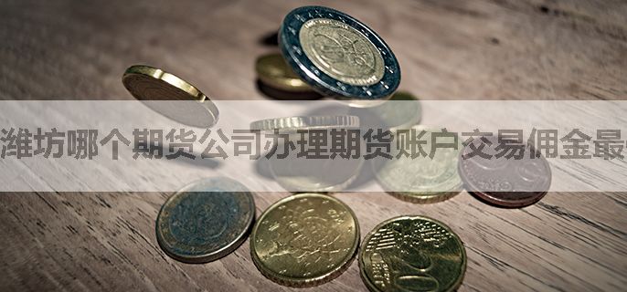 潍坊哪个期货公司办理期货账户交易佣金最低？手续费是多少？
