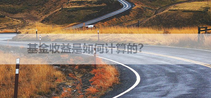 基金收益是如何计算的？