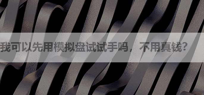 我可以先用模拟盘试试手吗，不用真钱？