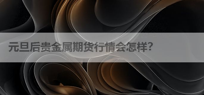 元旦后贵金属期货行情会怎样？