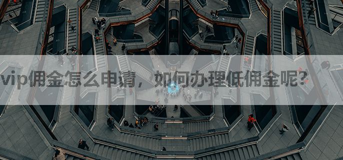 vip佣金怎么申请，如何办理低佣金呢？