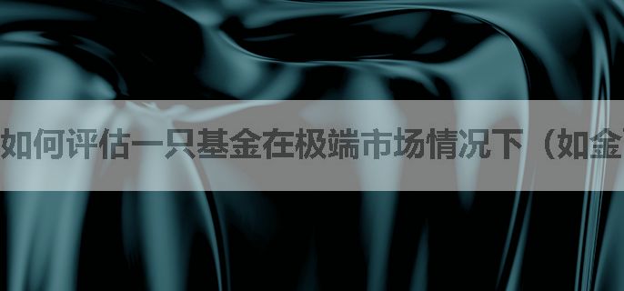 如何评估一只基金在极端市场情况下（如金融危机、股灾等）的风险承受能力？