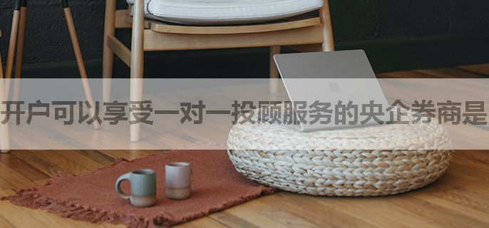 开户可以享受一对一投顾服务的央企券商是哪家