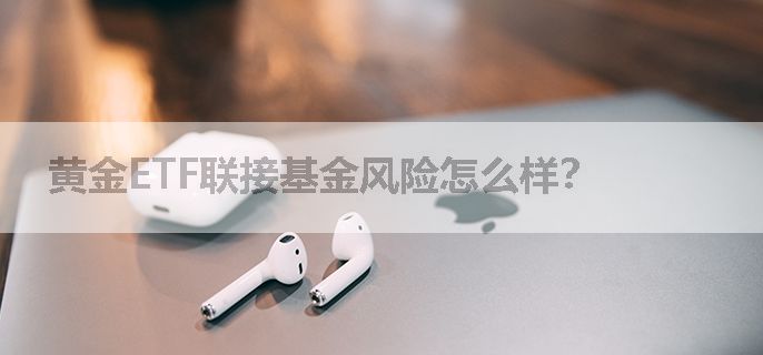 黄金ETF联接基金风险怎么样？