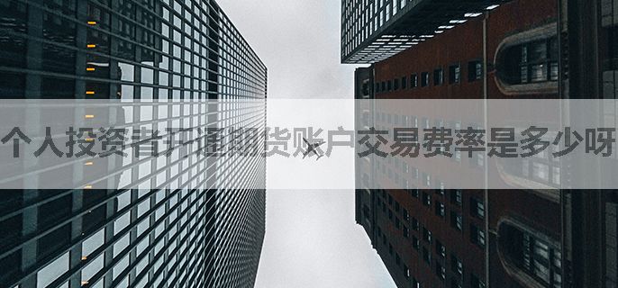 个人投资者开通期货账户交易费率是多少呀？