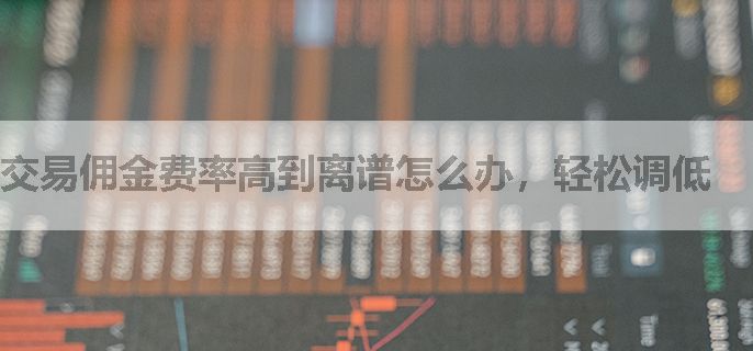 交易佣金费率高到离谱怎么办，轻松调低