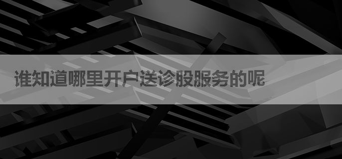 谁知道哪里开户送诊股服务的呢