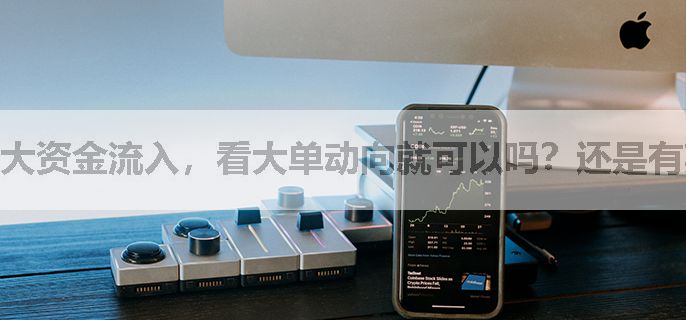 大资金流入，看大单动向就可以吗？还是有其他的软件