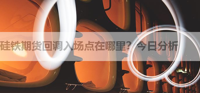 硅铁期货回调入场点在哪里？今日分析