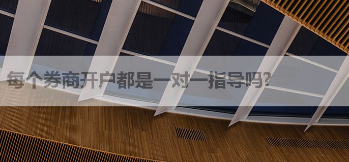 每个券商开户都是一对一指导吗?