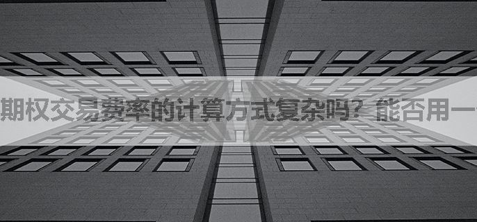 期权交易费率的计算方式复杂吗？能否用一个简单易懂的公式或者例子来解释一下其计算过程呢？