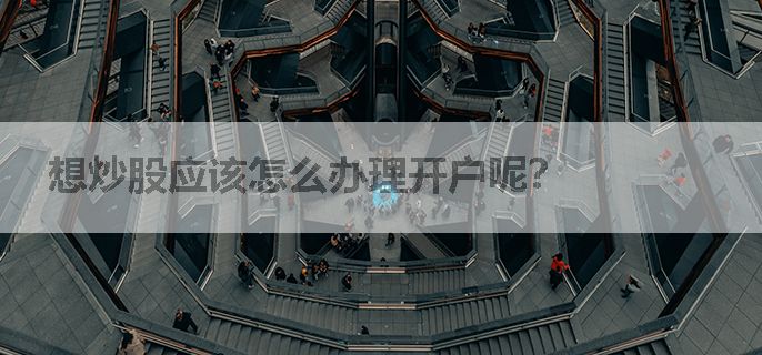 想炒股应该怎么办理开户呢？