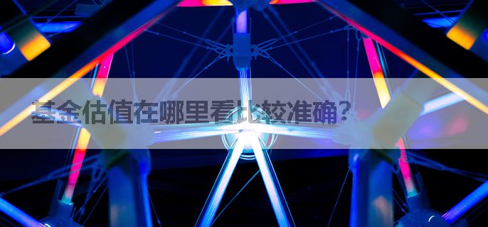 基金估值在哪里看比较准确？
