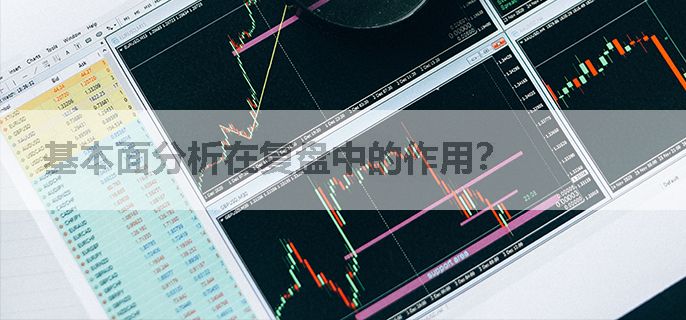基本面分析在复盘中的作用？