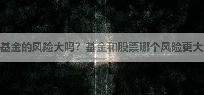 基金的风险大吗？基金和股票哪个风险更大？