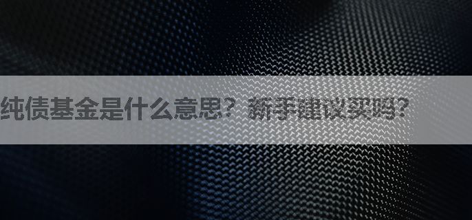 纯债基金是什么意思？新手建议买吗？