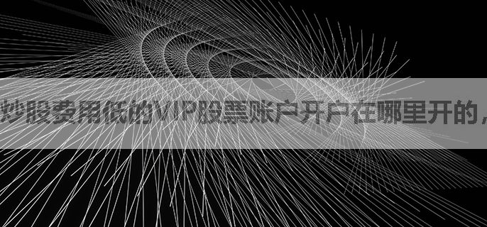 炒股费用低的VIP股票账户开户在哪里开的，散户能开吗