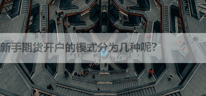 新手期货开户的模式分为几种呢？