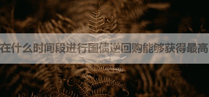 在什么时间段进行国债逆回购能够获得最高的收益呢？