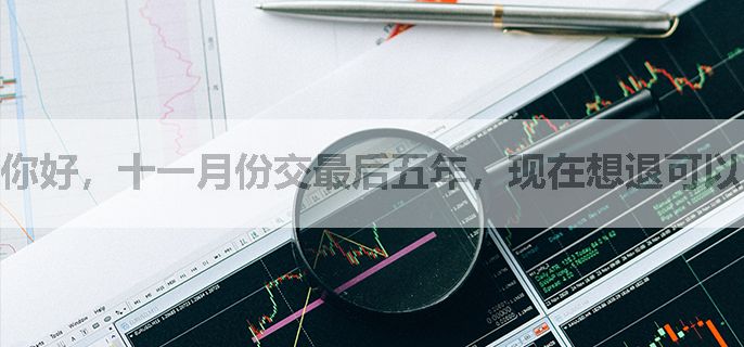 你好，十一月份交最后五年，现在想退可以吗