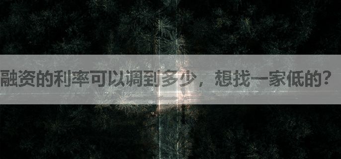 融资的利率可以调到多少，想找一家低的？